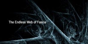 Fascia netwerk